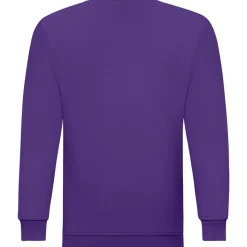 Kinder Sweatshirt ID.332