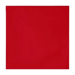 Kissenbezug 40 x 40 cm - 100% Baumwolle
