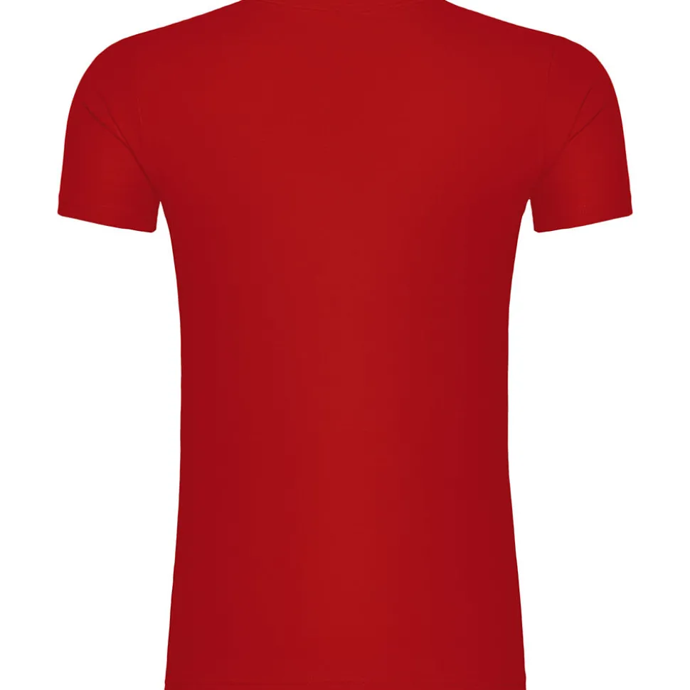 Männer Bio T-Shirt mit V-Ausschnitt Inspire