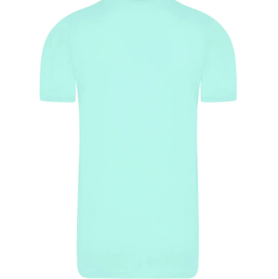 Männer Bio T-Shirt Pure Organic