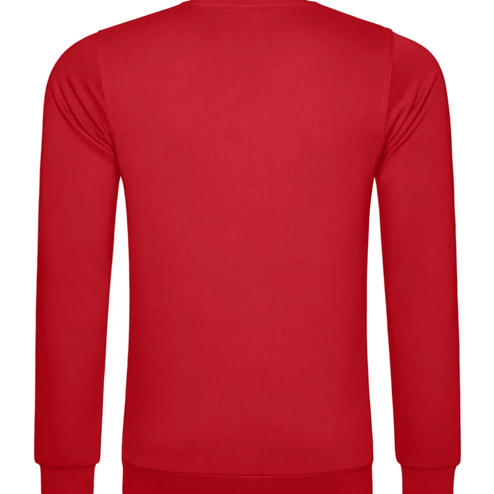 Männer Set-In Sweatshirt 80/20