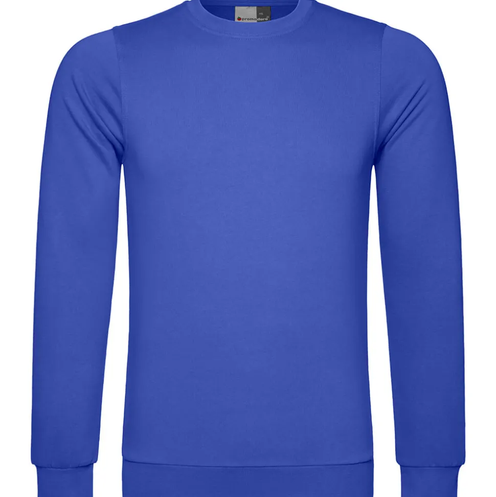 Männer Sweatshirt 100