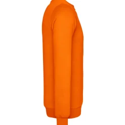 Männer Sweatshirt 100