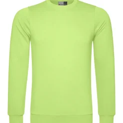 Männer Sweatshirt 100