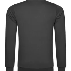 Männer Sweatshirt 100