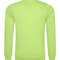 Männer Sweatshirt 100 in Übergröße
