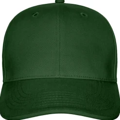 Pro-Style Heavy Brushed 6-Panel Cap