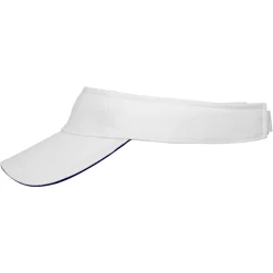 Sandwich Sunvisor