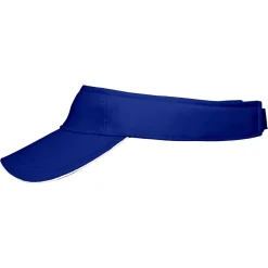 Sandwich Sunvisor