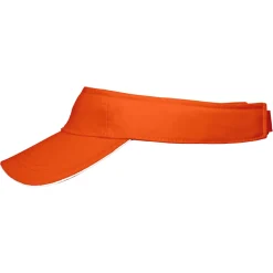 Sandwich Sunvisor