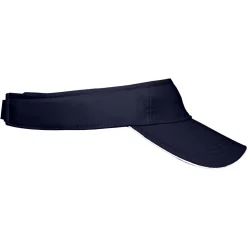 Sandwich Sunvisor