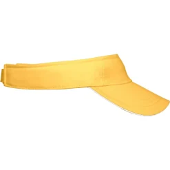 Sandwich Sunvisor