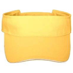 Sandwich Sunvisor