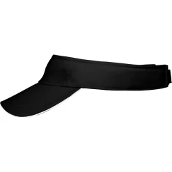 Sandwich Sunvisor