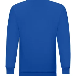 Teenager Sweatshirt ID.332