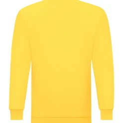 Teenager Sweatshirt ID.332