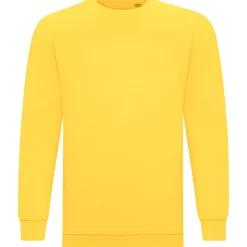 Teenager Sweatshirt ID.332