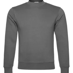 Unisex Authentic Sweatshirt in Übergröße