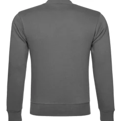 Unisex Authentic Sweatshirt in Übergröße