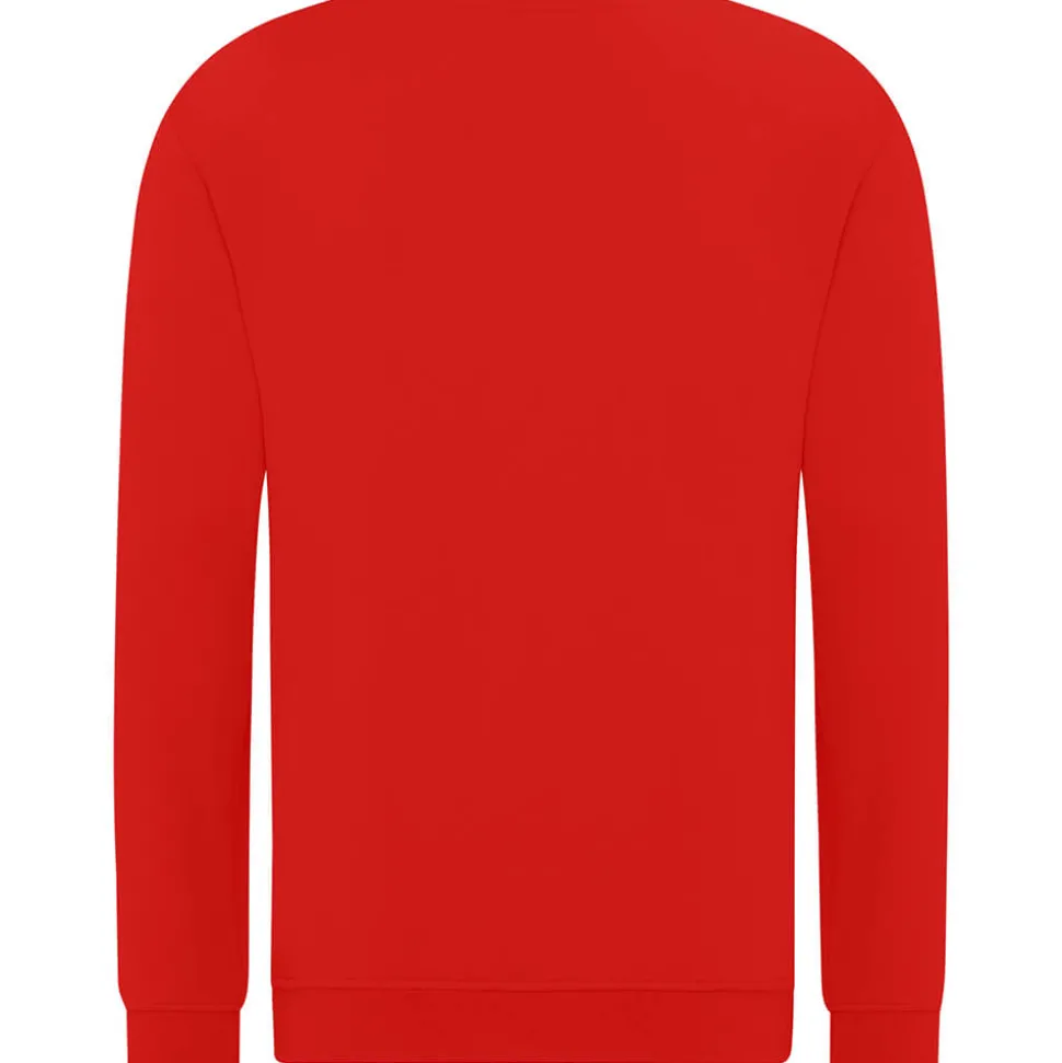 Unisex 50/50 Crew Sweatshirt ID.222 in Übergröße