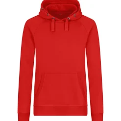 Unisex Premium Raglan Hoodie 70/30 Mischgewebe