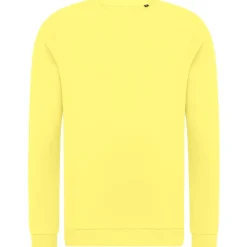 Unisex Set-In Sweatshirt French Terry in Übergröße