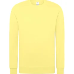 Unisex Set-In Sweatshirt 80/20 Royal Line in Übergröße
