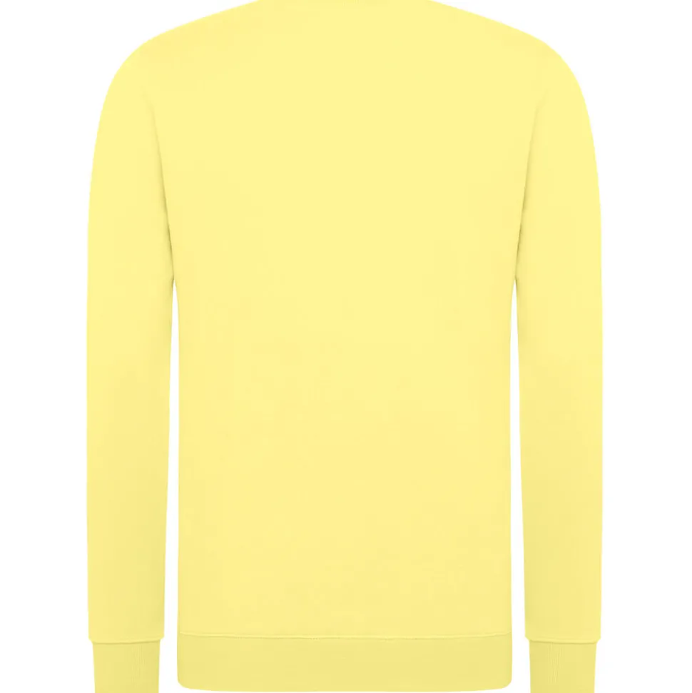 Unisex Set-In Sweatshirt 80/20 Royal Line in Übergröße