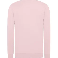 Unisex Set-In Sweatshirt 80/20 Royal Line in Übergröße