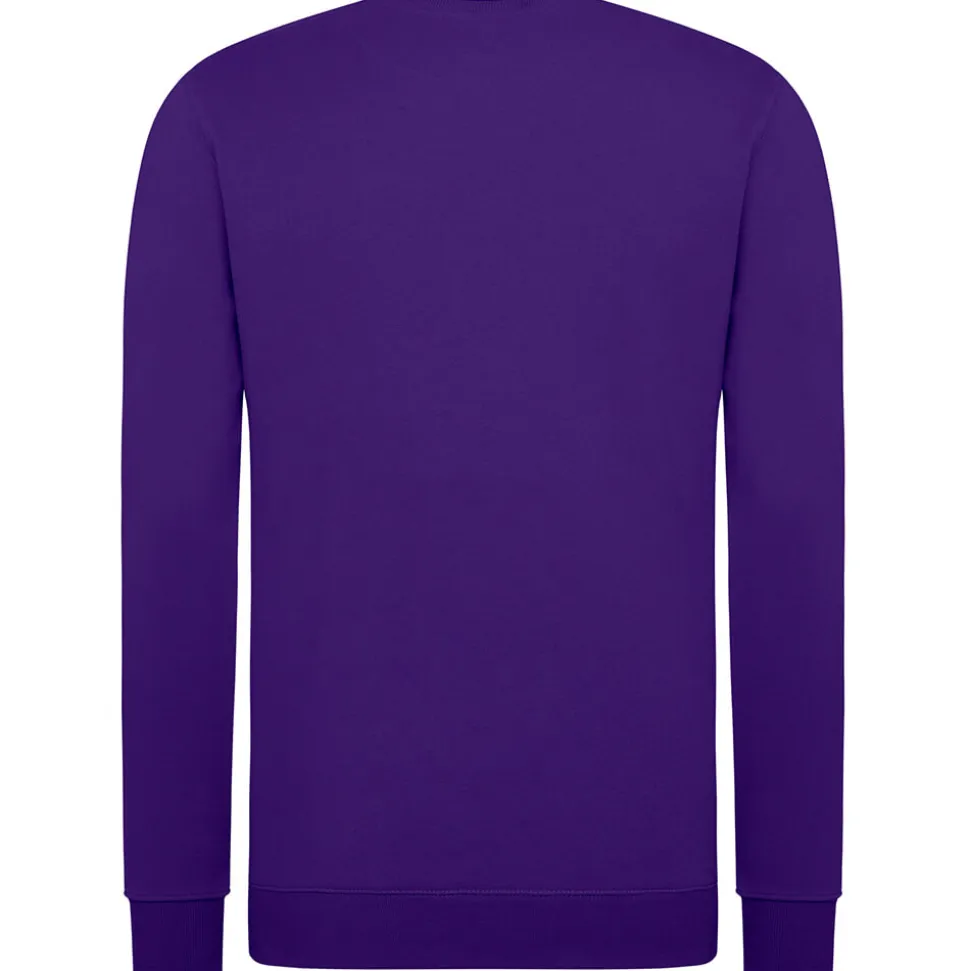 Unisex Set-In Sweatshirt 80/20 Royal Line in Übergröße