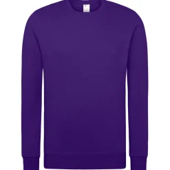 Unisex Set-In Sweatshirt 80/20 Royal Line in Übergröße