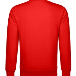 Unisex Set-In Sweatshirt Stylish fit in Übergröße